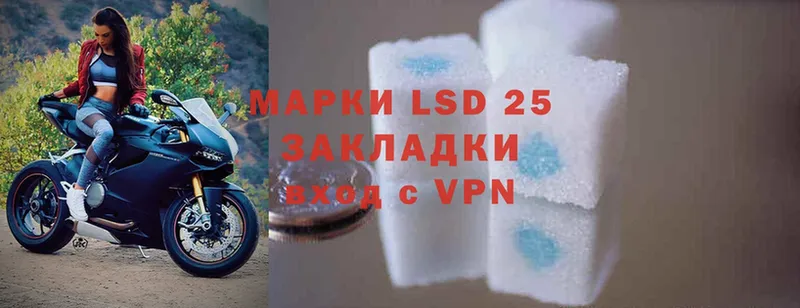 Лсд 25 экстази ecstasy  Заводоуковск 